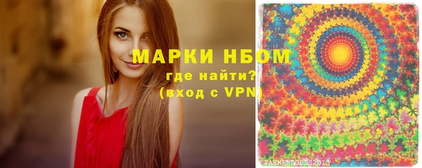 ALPHA PVP Богородицк