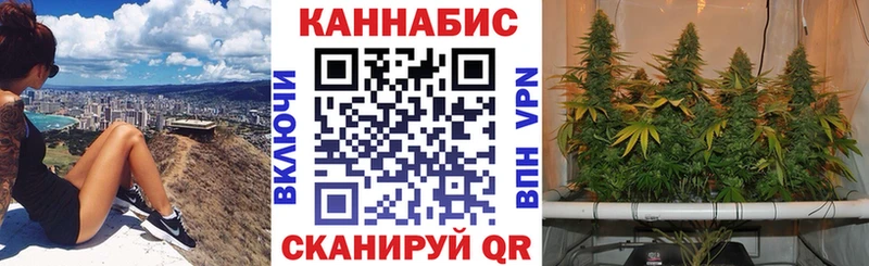 Конопля индика Ахтырский